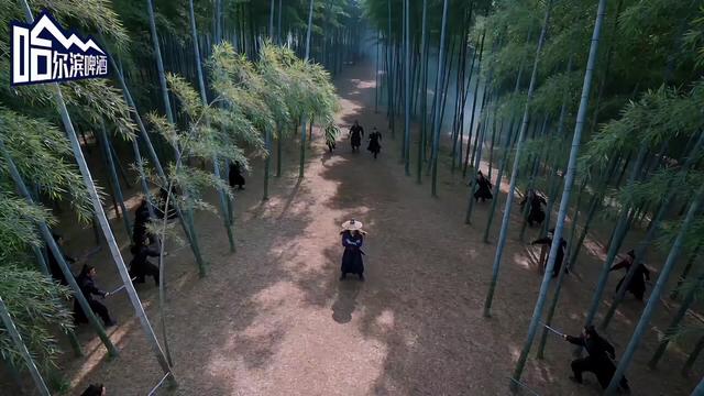 武侠风轻广告_我的0糖0脂0负担#哈啤AI武林大赛_#哈啤冰极0_#哈尔滨啤酒_#即梦AI_#AI奇妙物语